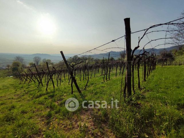 Terreno agricolo in commerciale in 