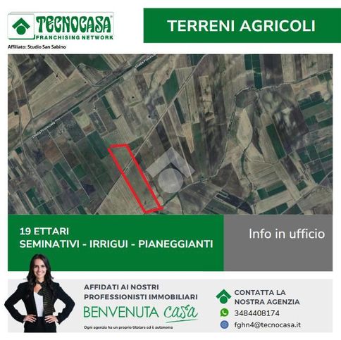 Terreno agricolo in commerciale in Strada Provinciale 11