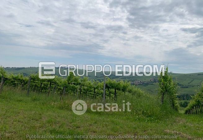 Terreno agricolo in commerciale in Strada Provinciale 201