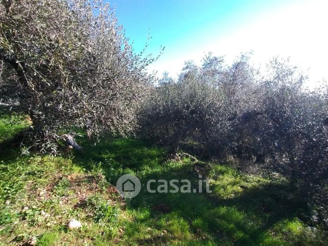 Terreno agricolo in commerciale in Via Sant'Anna