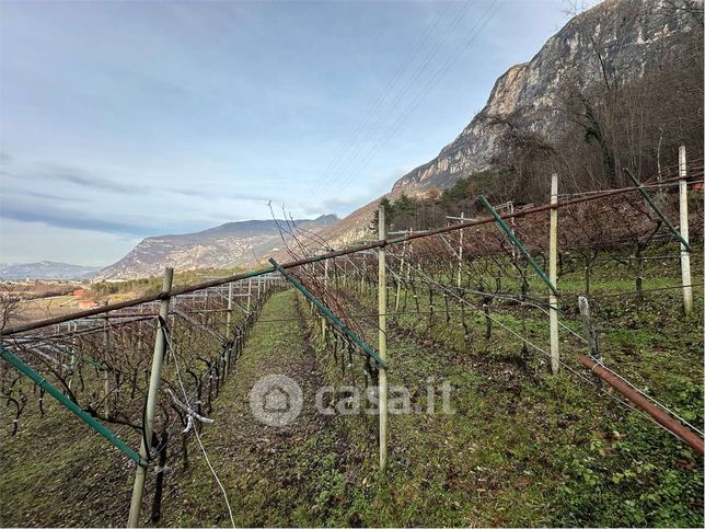 Terreno agricolo in commerciale in Via Nazionale 28