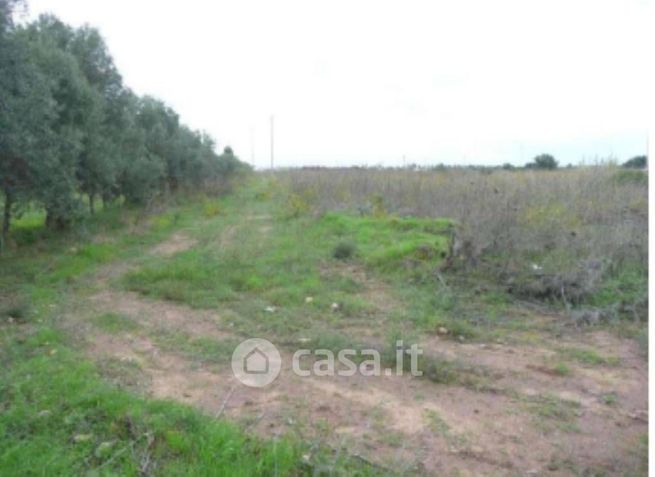 Terreno agricolo in commerciale in Strada Statale 195 Sulcitana