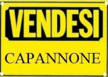 Capannone in commerciale in