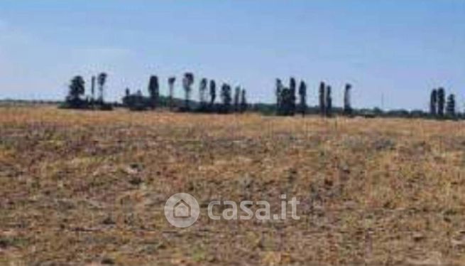 Terreno agricolo in commerciale in Contrada Santa Teresa