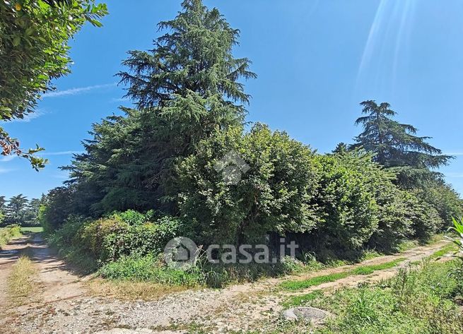 Terreno agricolo in commerciale in Via del Pozzone 999