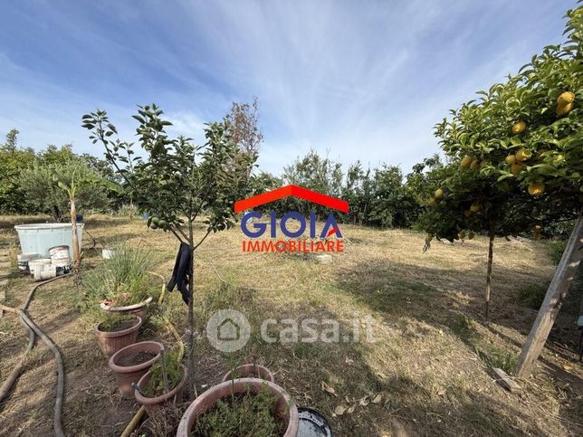 Terreno agricolo in commerciale in Via Domiziana