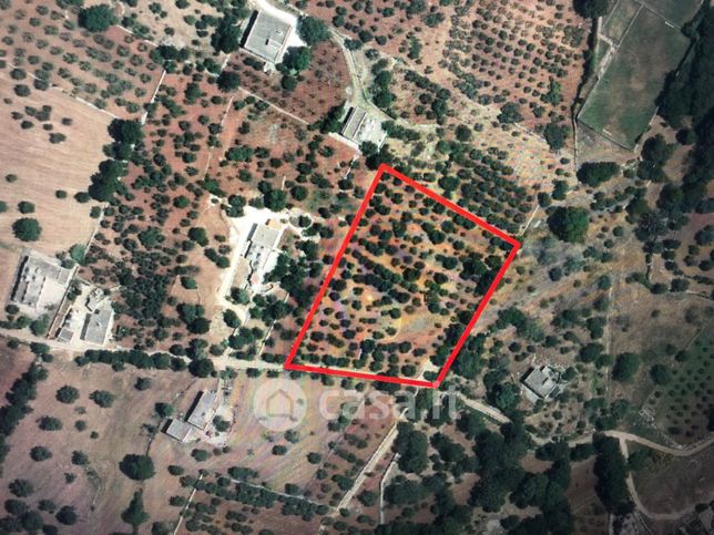 Terreno agricolo in commerciale in Contrada Cervarulo