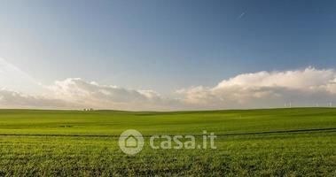 Terreno agricolo in commerciale in Via Roma