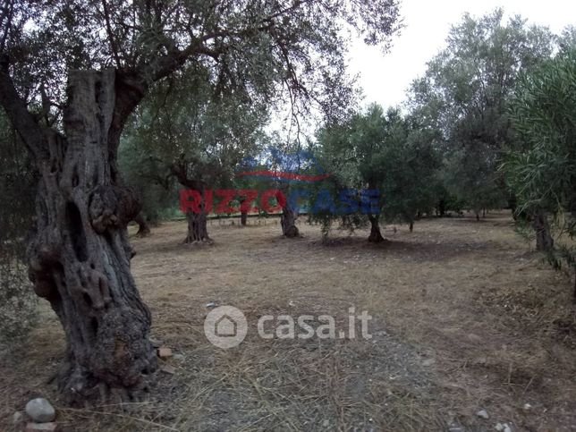 Terreno agricolo in commerciale in Via Cuppo