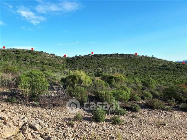 Terreno agricolo in commerciale in SP138