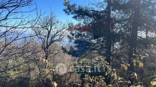 Terreno agricolo in commerciale in Strada Regionale Mareneve