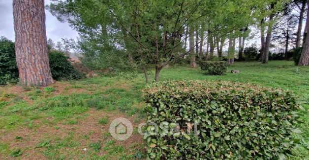 Terreno agricolo in commerciale in Via Guglielmo Quattrucci