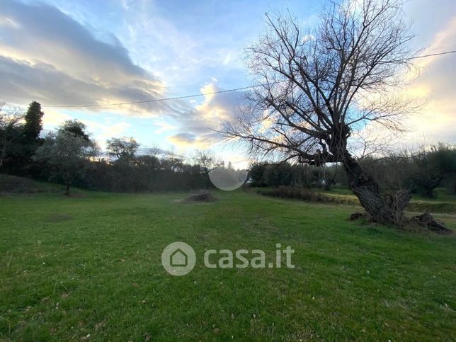 Terreno agricolo in commerciale in Strada Filante