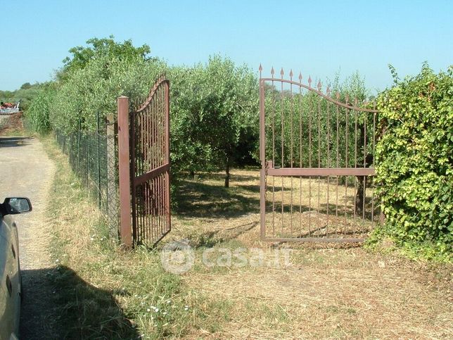 Terreno agricolo in commerciale in 