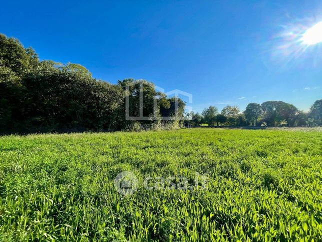 Terreno agricolo in commerciale in Via dei Boschi 20