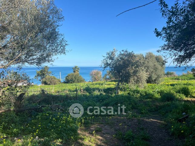 Terreno agricolo in commerciale in Strada Statale 113 Settentrionale Sicula