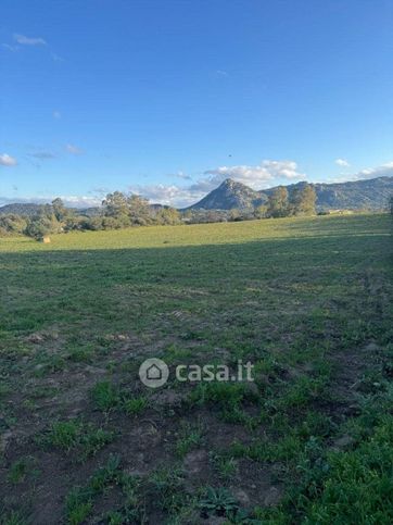 Terreno agricolo in commerciale in Via del Nuraghe 36