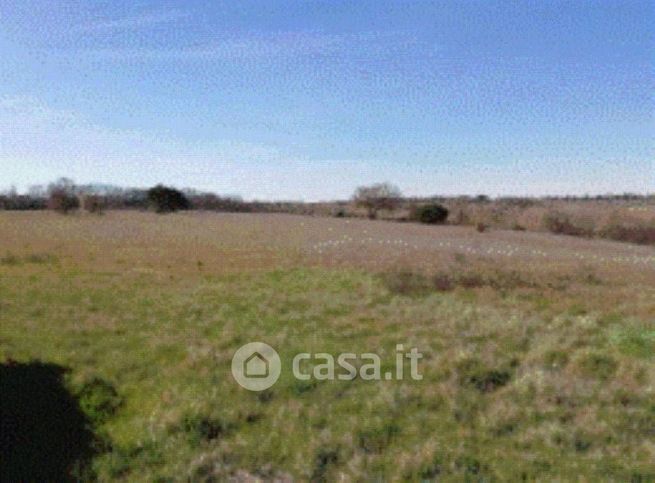 Terreno agricolo in commerciale in Strada Provinciale 32 Lauretana