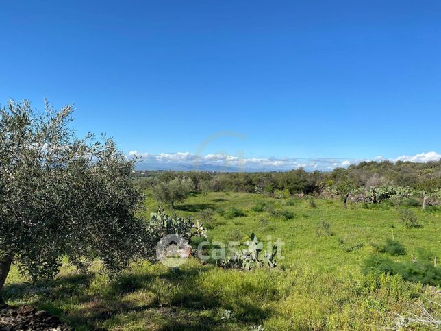 Terreno agricolo in commerciale in 