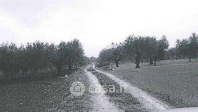 Terreno edificabile in residenziale in Strada Statale 272