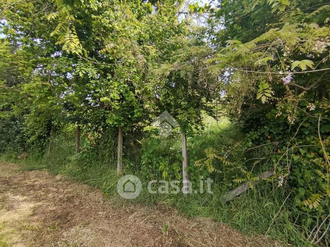 Terreno agricolo in commerciale in Via delle Foche