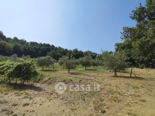 Terreno agricolo in commerciale in