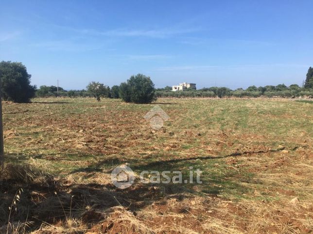 Terreno agricolo in commerciale in Strada Comunale Caggione