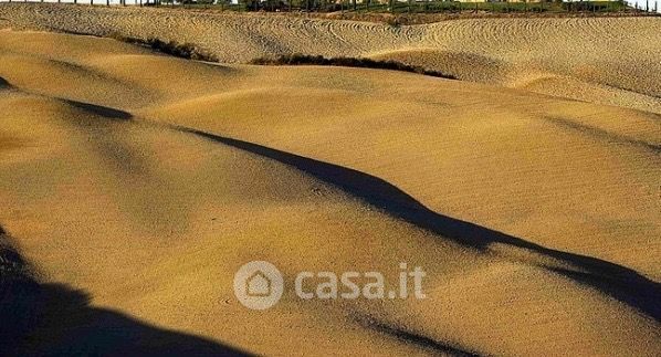 Terreno agricolo in commerciale in asciano