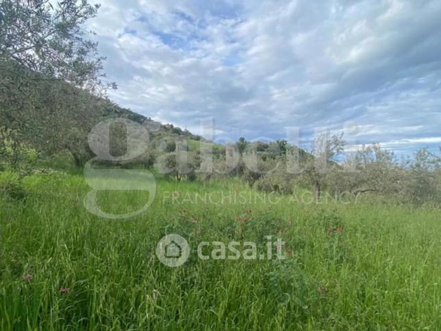 Terreno agricolo in commerciale in Contrada Belfiore