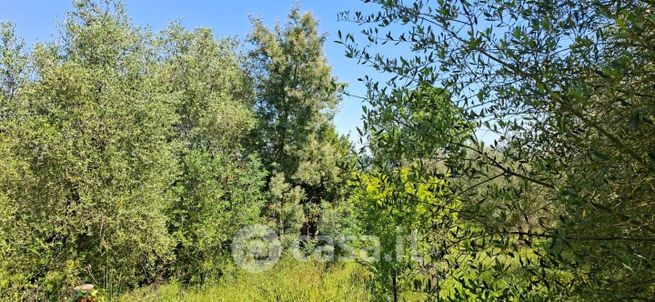 Terreno agricolo in commerciale in 
