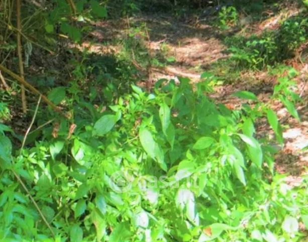 Terreno agricolo in commerciale in Via San Nicola