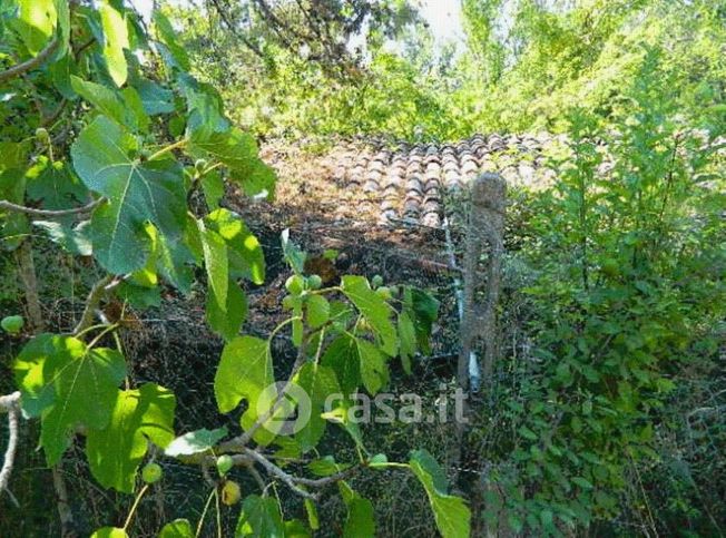 Terreno agricolo in commerciale in Via Po' della Fratta