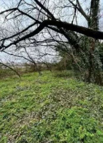 Terreno agricolo in commerciale in Via Grandi