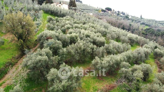 Terreno agricolo in commerciale in Via Carmignanese