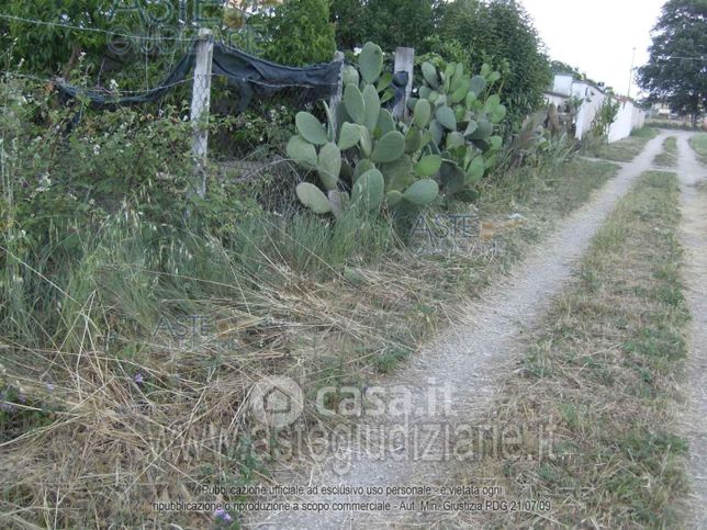 Terreno agricolo in commerciale in Via Collepardo