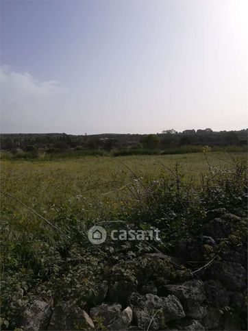 Terreno agricolo in commerciale in 