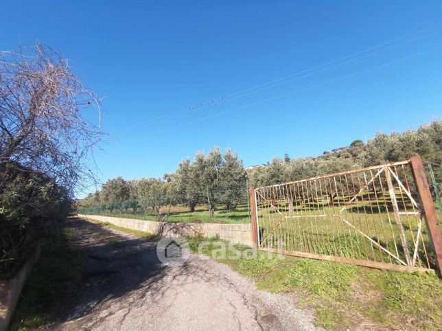 Terreno agricolo in commerciale in Contrada Santa Domenica