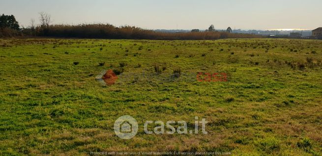 Terreno agricolo in commerciale in Via degli Agrumi