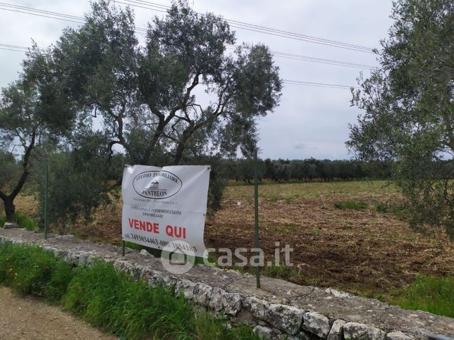 Terreno agricolo in commerciale in Via VADO DEL PARCO