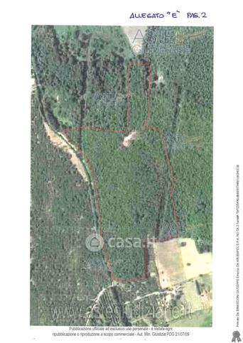 Terreno agricolo in commerciale in Via Olmata Tre Cancelli