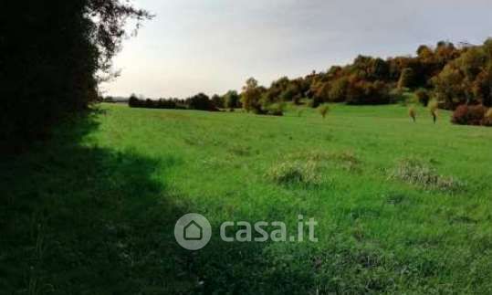 Terreno agricolo in commerciale in Borgo Santa Maria