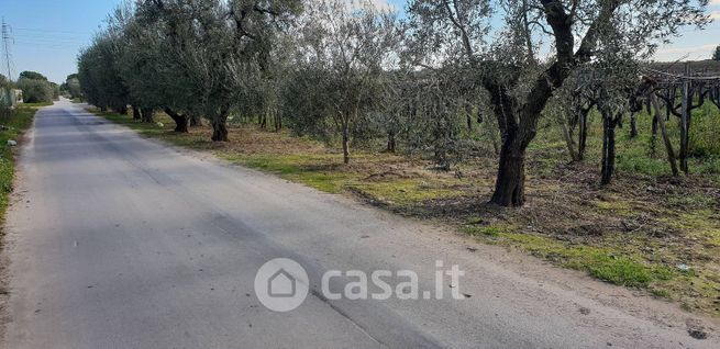 Terreno edificabile in residenziale in Via Vecchia per Canosa