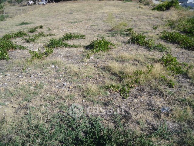 Terreno edificabile in residenziale in Viale Leonardo Sciascia