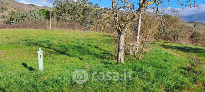 Terreno agricolo in commerciale in 