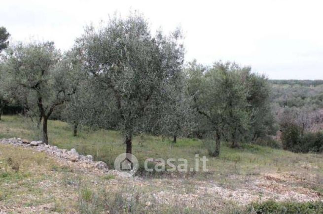 Terreno agricolo in commerciale in Via Crocifisso