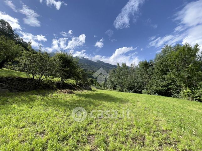 Terreno agricolo in commerciale in Via Selva