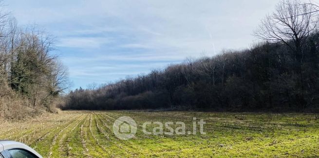 Terreno agricolo in commerciale in Via Buttigliera Alta