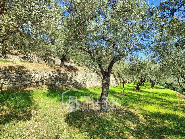 Terreno agricolo in commerciale in Via delle Cappelle di Sopra