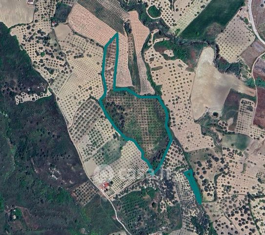 Terreno agricolo in commerciale in Località gabibbi