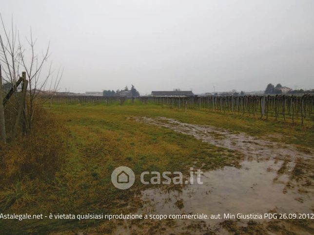 Terreno agricolo in commerciale in Via Pigno